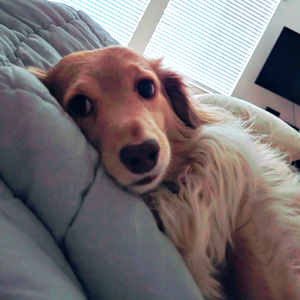 Meet your Posher, Erin